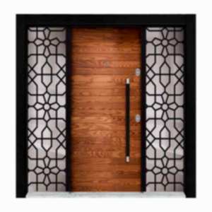 Bina giriş kapı serisi BRG-1411